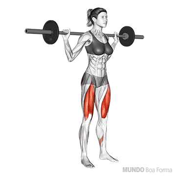 aga Treino Completo de Pernas