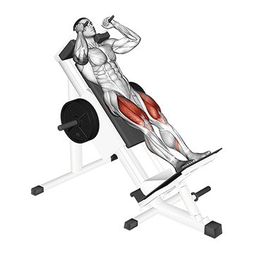 sled-hack-squat Treino Completo de Pernas